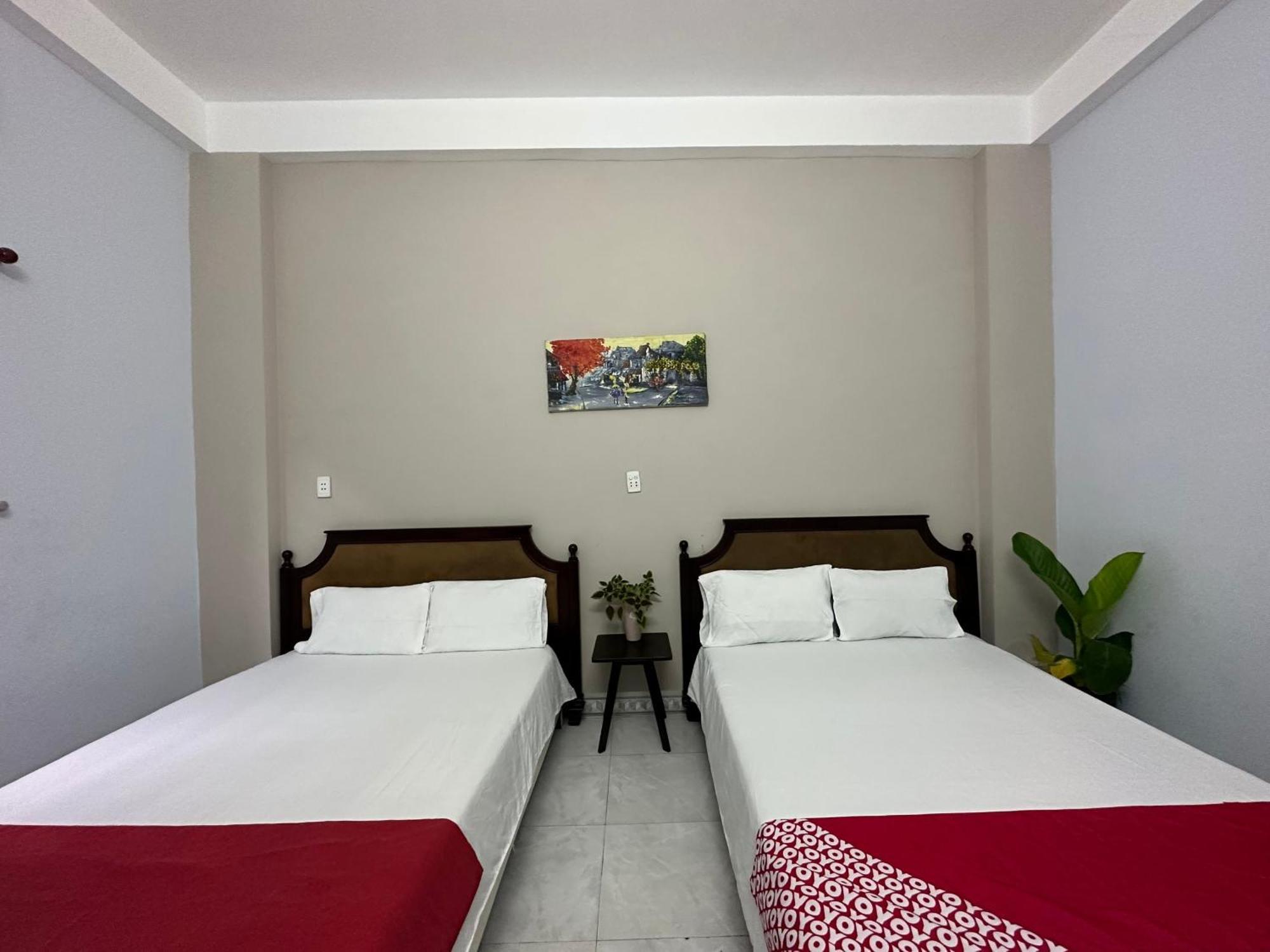 Oyo 1187 Suoi Da Motel Дананг Екстер'єр фото